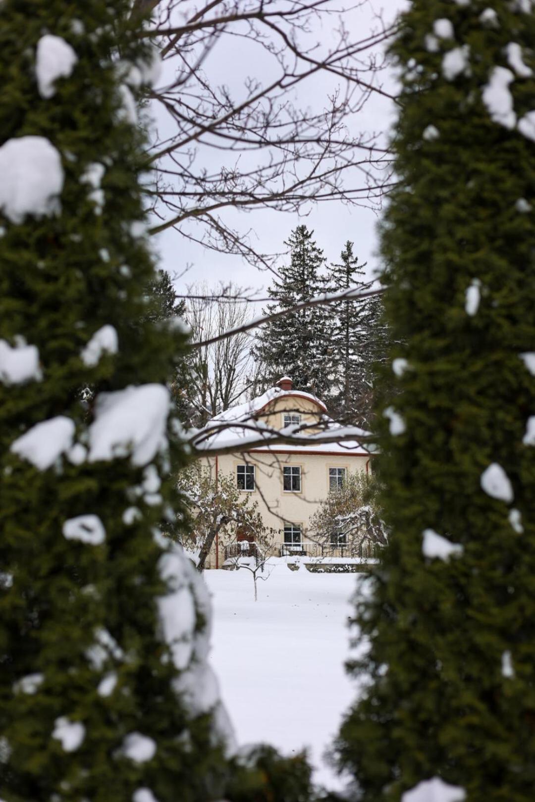 Hotel Debowy Biowellness & Spa Gory Sowie Bielawa  Eksteriør bilde